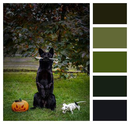 German Shepherd Halloween Backyard Image